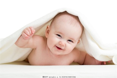 http://jinhua.papirsys.com/post/205.html|金华捐卵微信